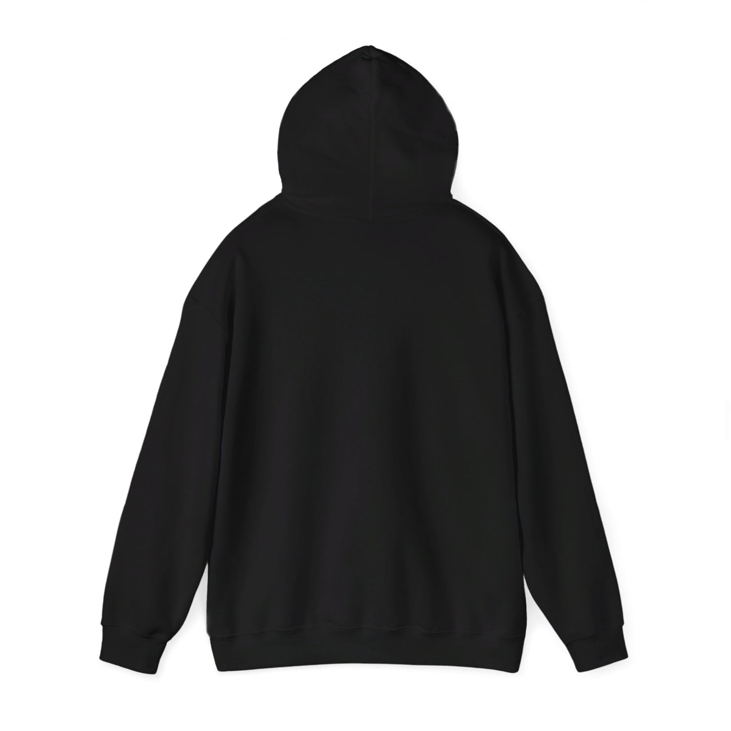 SOLO CAMPERVAN hoodie